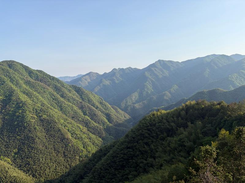 逐步